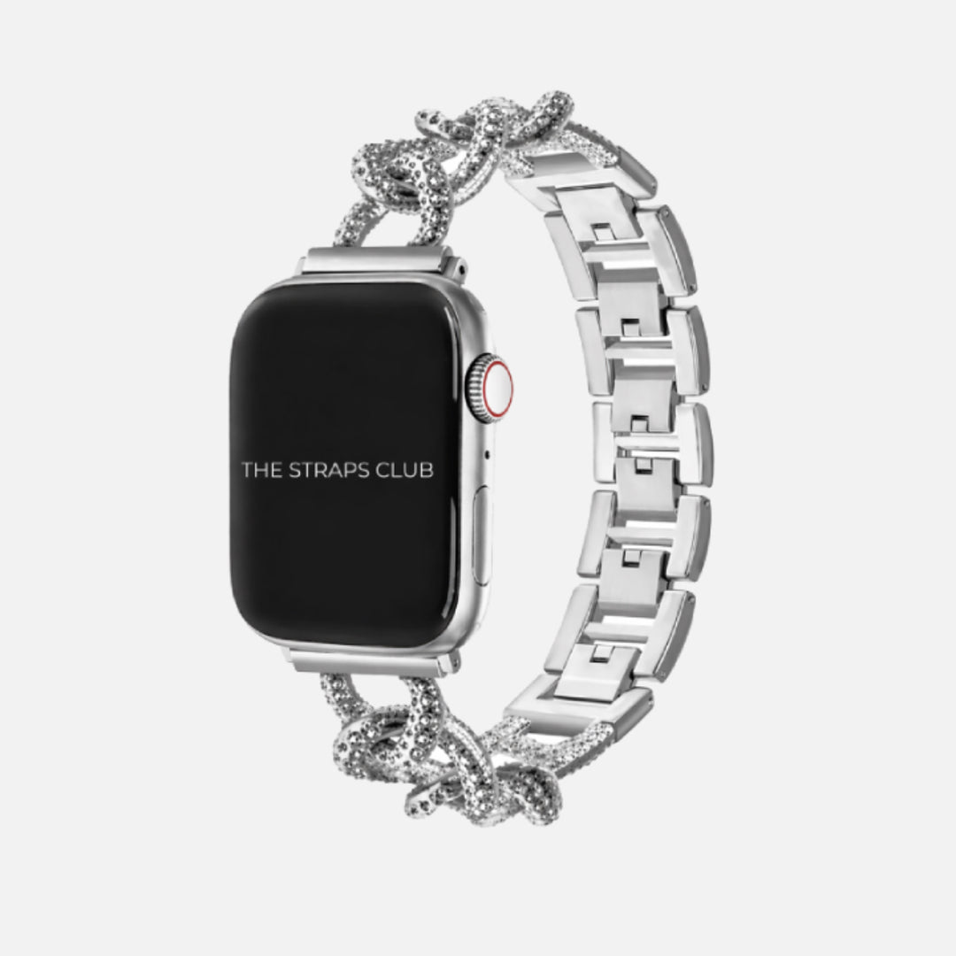 The Chain Mesh Apple Watch Strap
